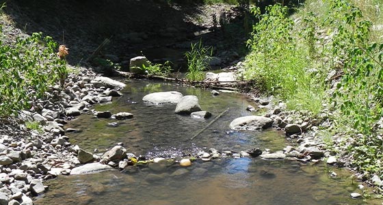 Natural Resources and Environmental Permitting